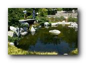 SDJapaneseGarden094030526.jpg