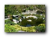 SDJapaneseGarden095030526.jpg