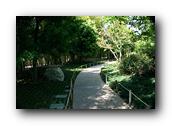 SDJapaneseGarden106030526.jpg