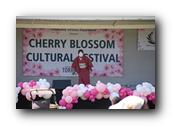 TorranceCherryBlossom172290326.jpg