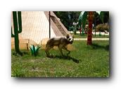 DSC01309.jpg