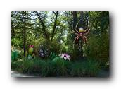 DSC01320.jpg