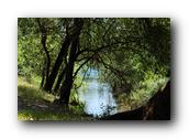 DSC01334.jpg