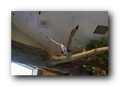 DSC01368.jpg