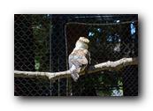 DSC01398.jpg
