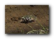 DSC01414.jpg