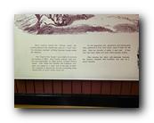 20260522_144119.jpg