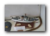 WhaleofaDay060250426.jpg
