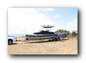 WhaleofaDay068250426.jpg