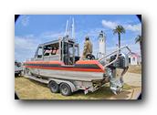 WhaleofaDay079250426.jpg
