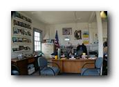 WhaleofaDay085250426.jpg
