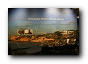 WhaleofaDay173250426.jpg