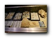 WhaleofaDay176250426.jpg