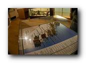WhaleofaDay177250426.jpg