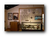 WhaleofaDay180250426.jpg