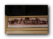 WhaleofaDay183250426.jpg
