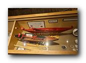 WhaleofaDay188250426.jpg