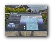 20260521_114515.jpg