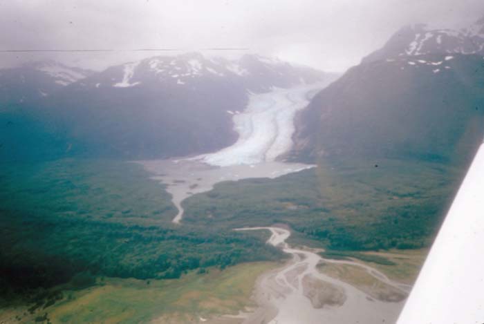 AL001800