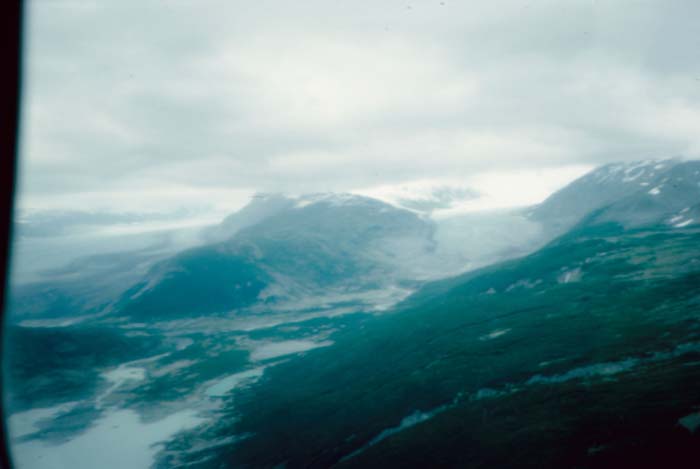 AL002600