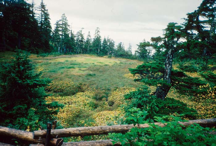 AL003300