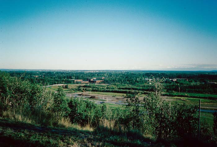 AL005800