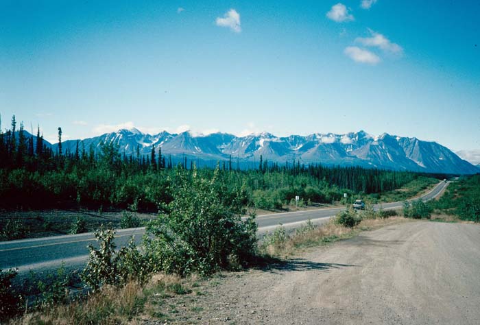 AL006500