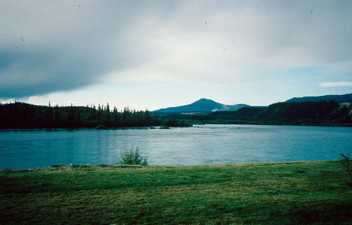 AL006900