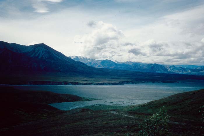 AL007900