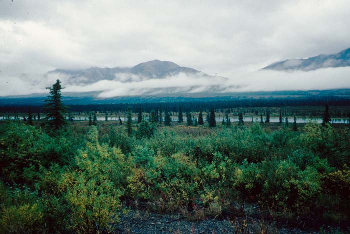 AL008500