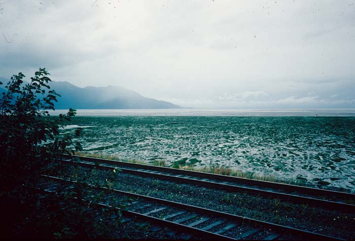AL009502