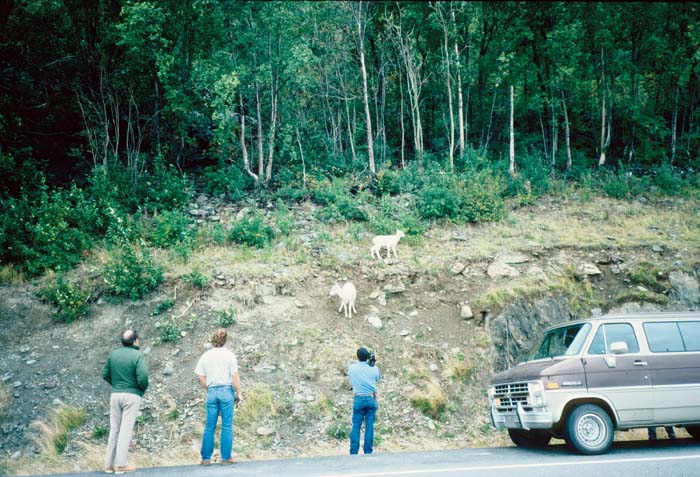 AL009700