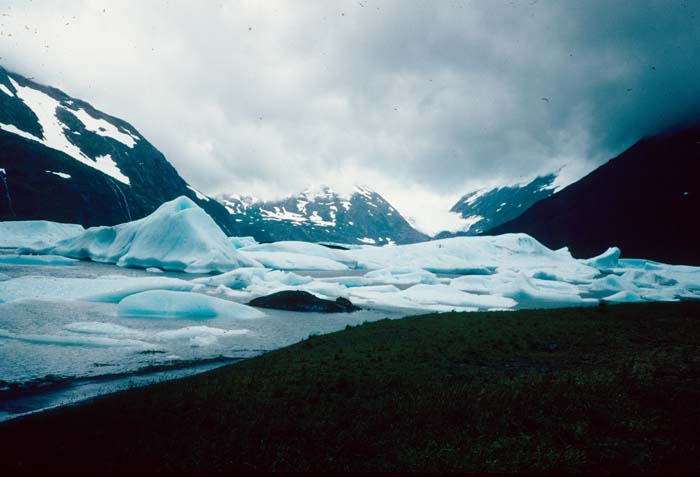 AL010002