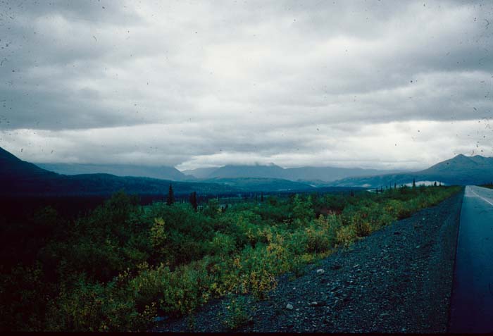 AL010004