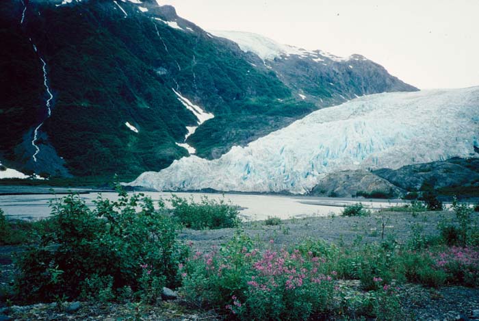 AL011000