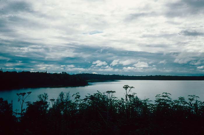 AL011900