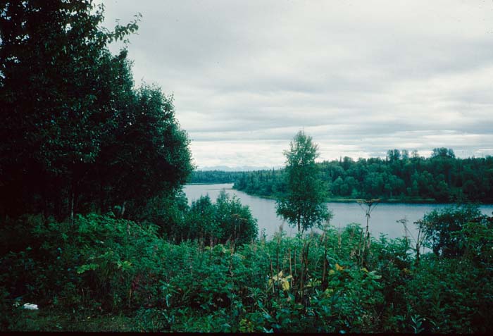 AL012000