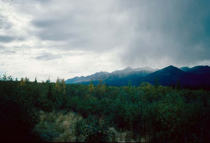 AL015800