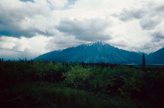 AL016200