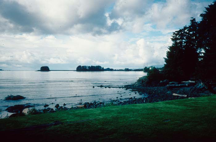 AL019000