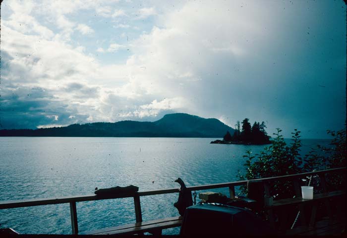 AL019802