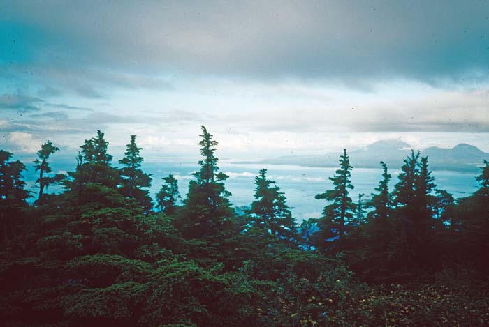 AL020400