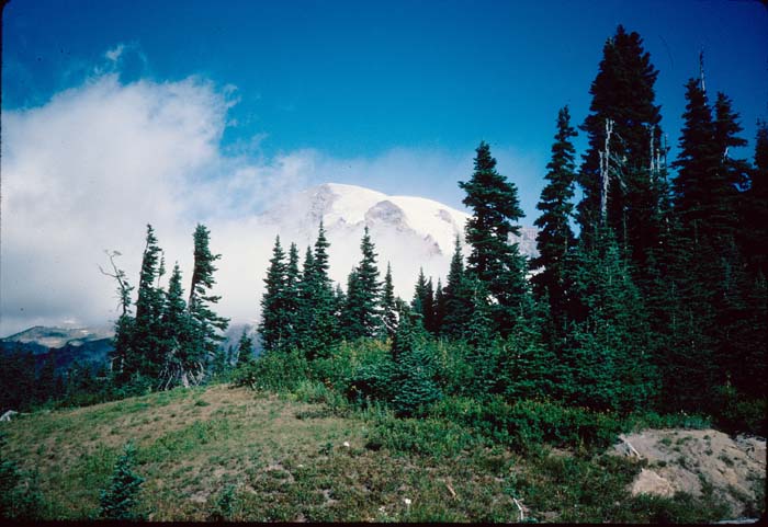 AL022300