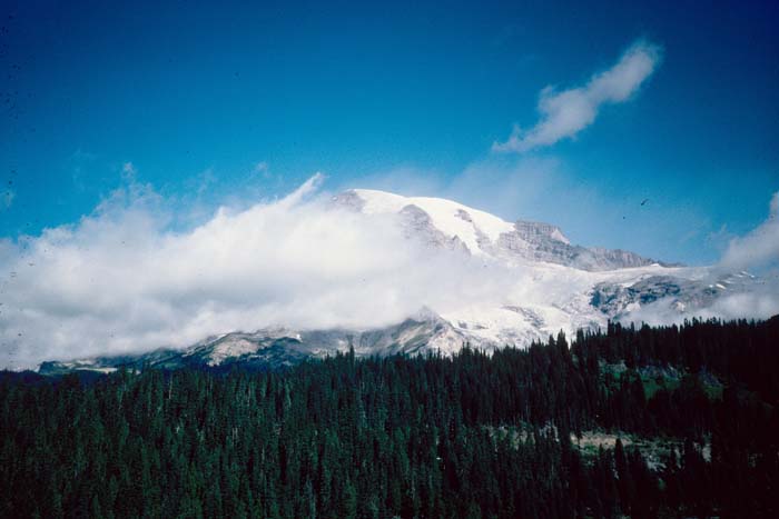 AL022600