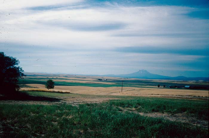 AL022800