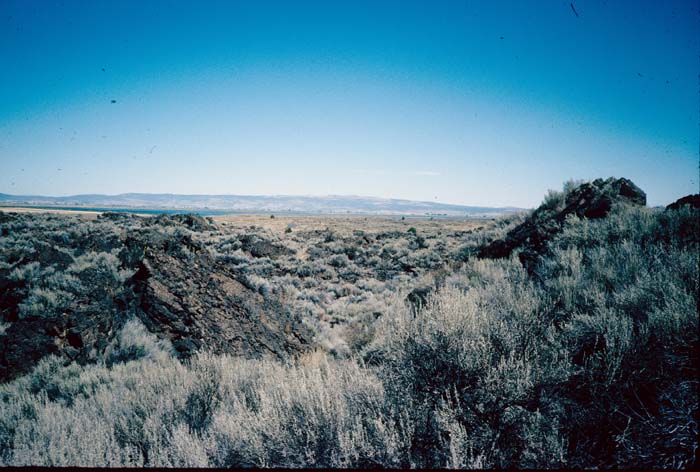 AL022900