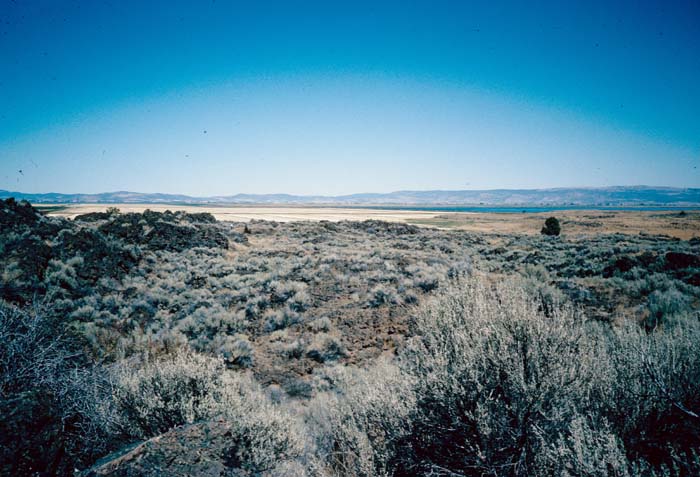 AL023102