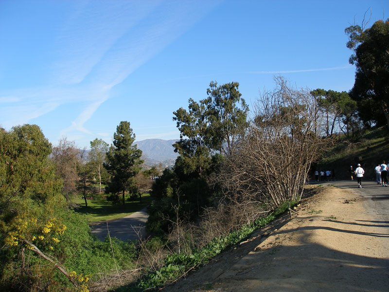 P2120026