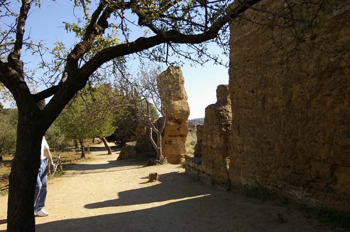 Agrigento  1006