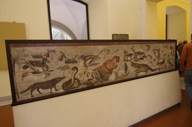 Naples  1416